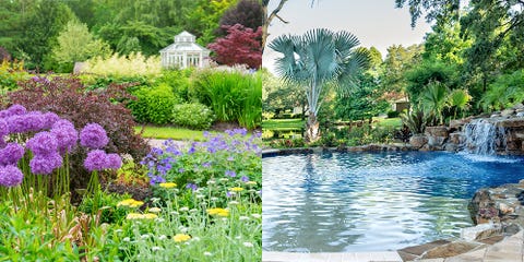 flower garden and pool