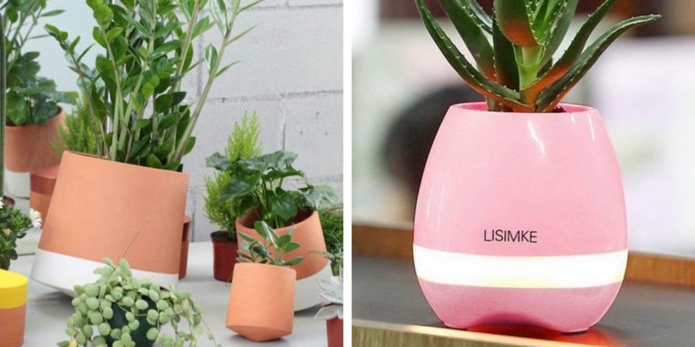 15 Stylish Indoor Flower Pots - Affordable Indoor Pots for Your Plants