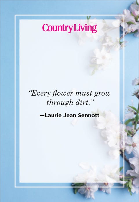 58 Inspirational Flower Quotes - Cute Flower Sayings About Life and Love 58 Inspirational Flower Quotes - Cute Flower Sayings About Life and Love