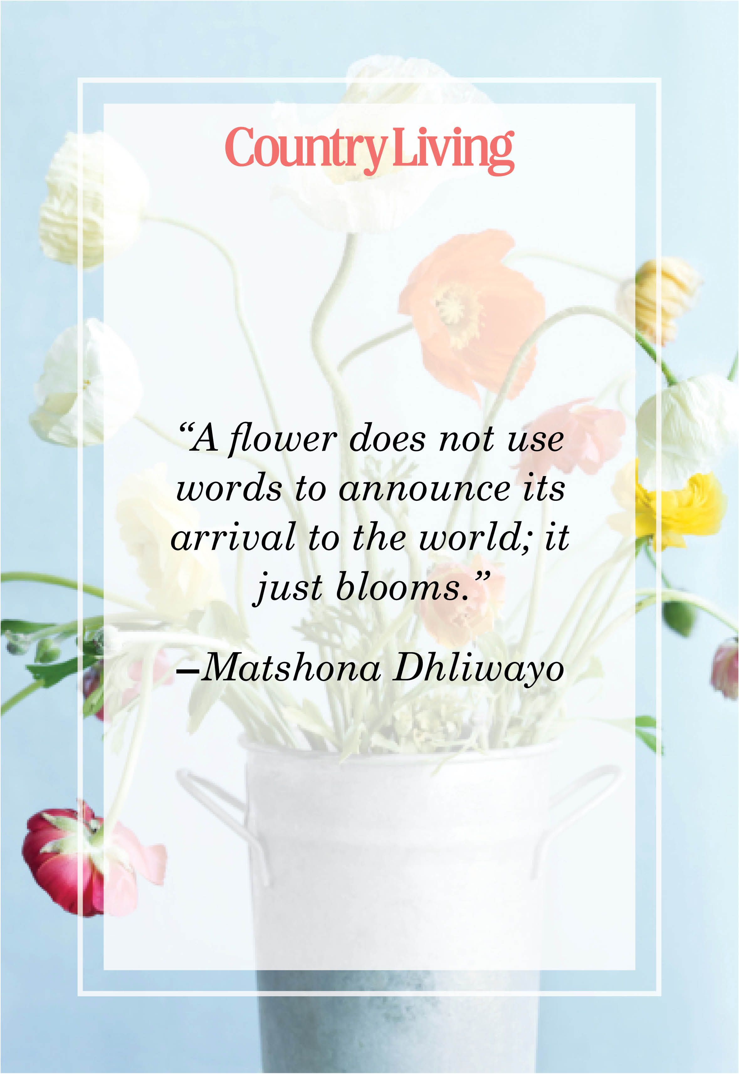 48 Inspirational Flower Quotes Cute Flower Sayings About Life And Love