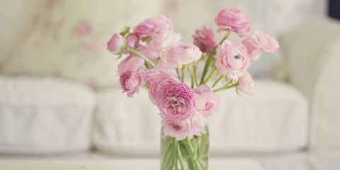 Flower, Pink, Cut flowers, Bouquet, Plant, Flower Arranging, Flowering plant, persian buttercup, Floristry, Rose, 