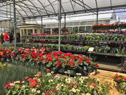 Alan Chmarsh Urges Government To Reopen Garden Centres Reopen Garden Centres