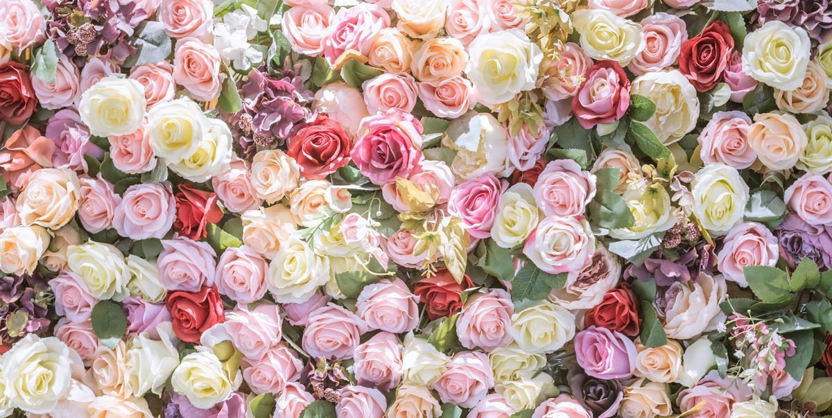 16 Rose Color Meanings Explained Roses For Every Occasion