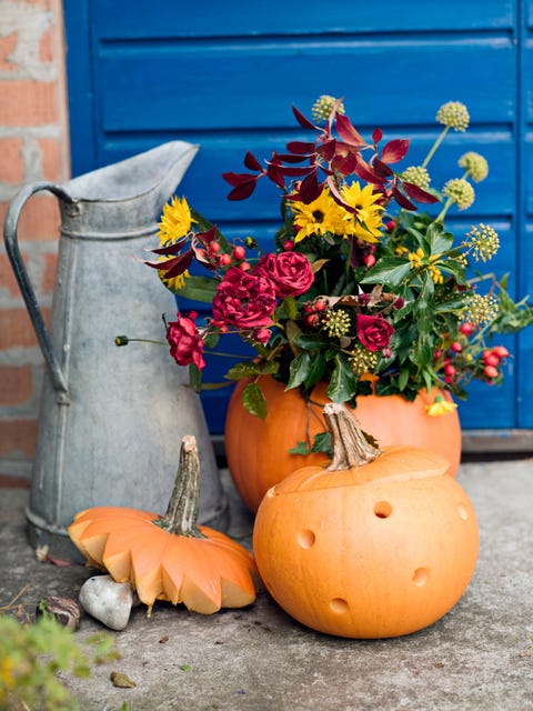 flowers in pumpkins in a garden