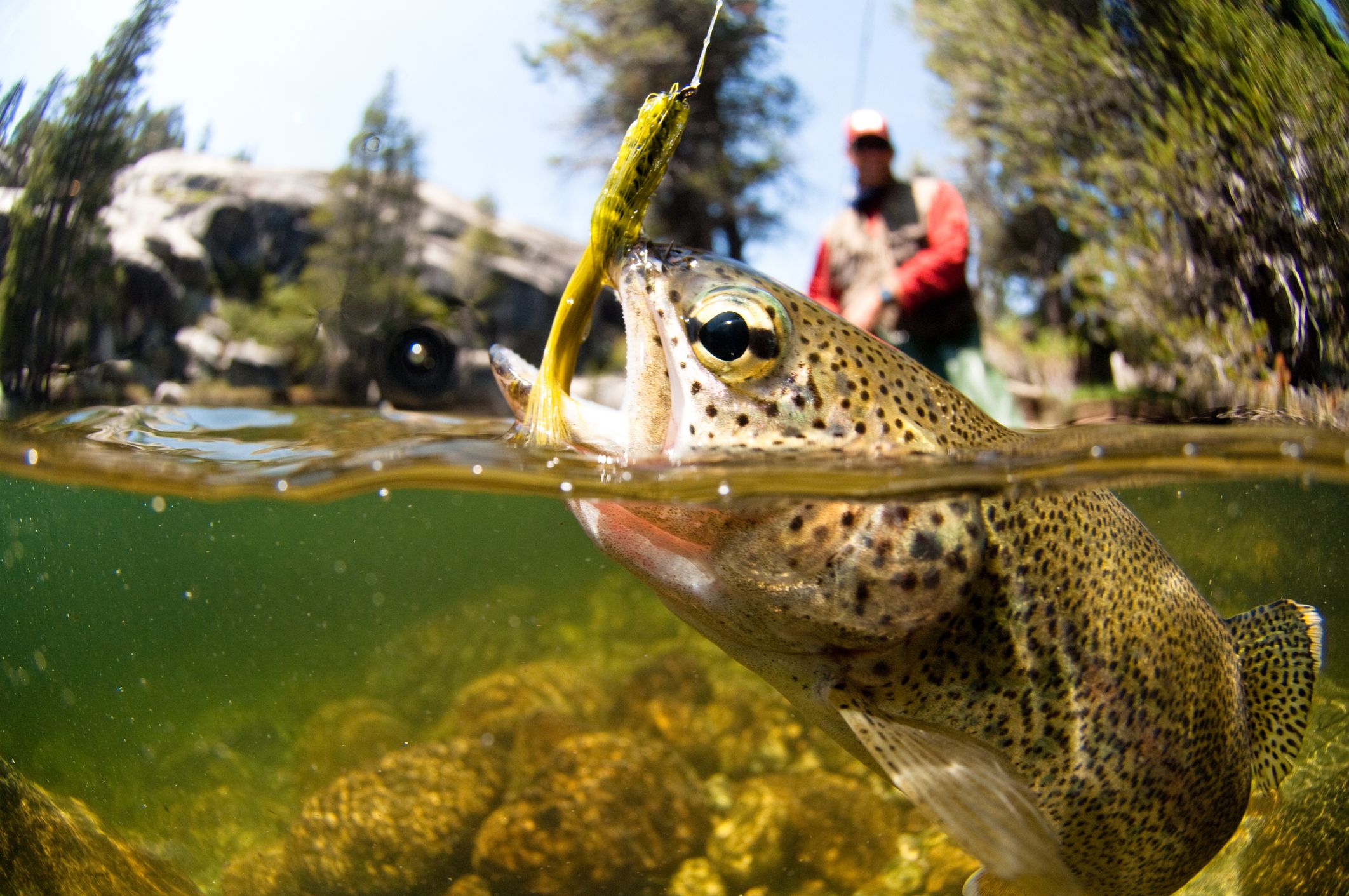 how to fly with fishing rods