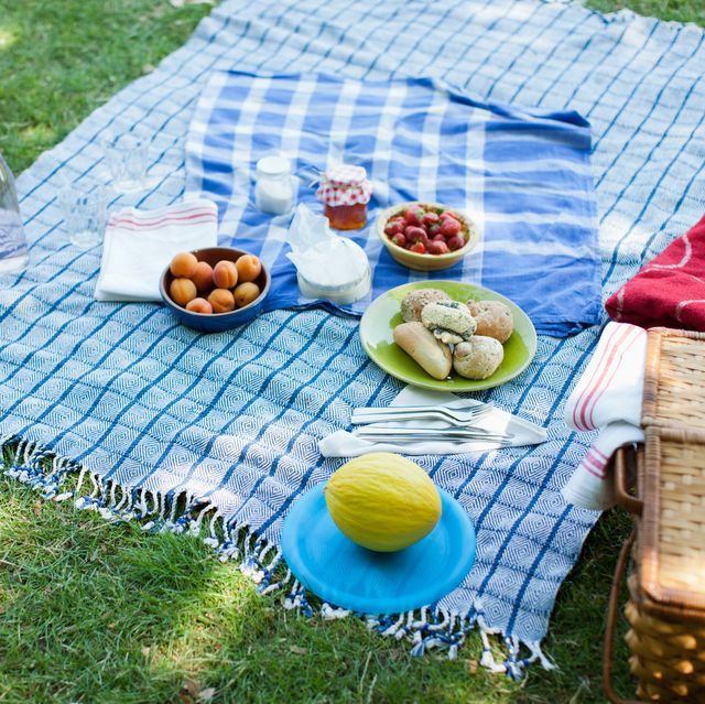 food on blanket in grass
