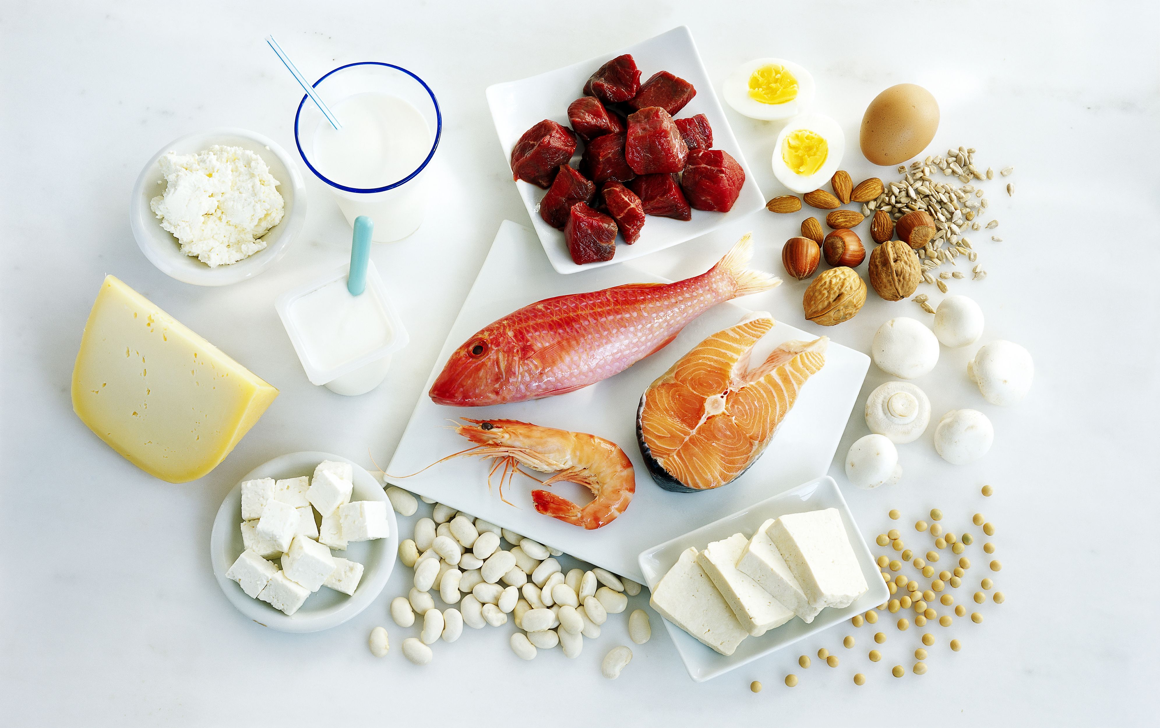 high protein diet that includes dairy