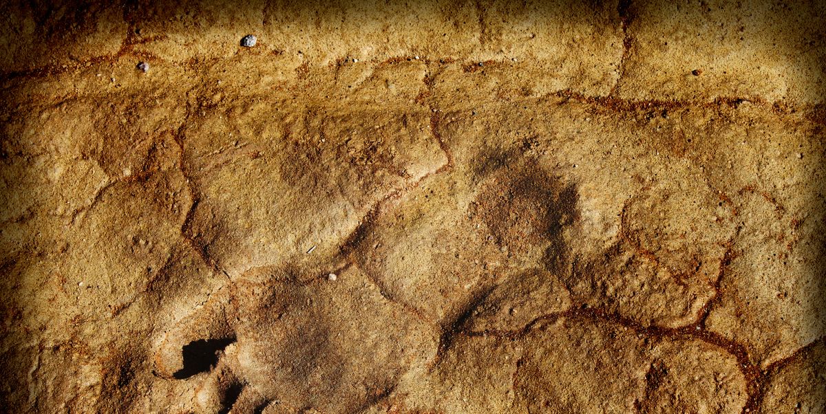 Archaeologists have discovered human footprints dating back 300,000 years
