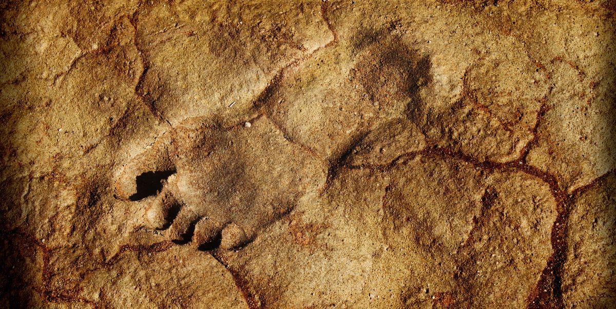 Archaeologists have discovered human footprints dating back 300,000 years