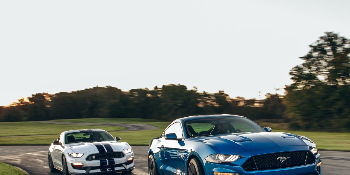 19 Ford Mustang Gt Performance Pack Level 2 Vs 19 Ford Mustang Shelby Gt350