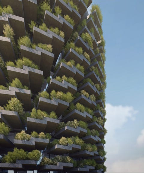 Proyecto Forest del estudio de arquitectura Nudes proyecto forest del estudio de arquitectura nudes, un colegio que conecta con la naturaleza