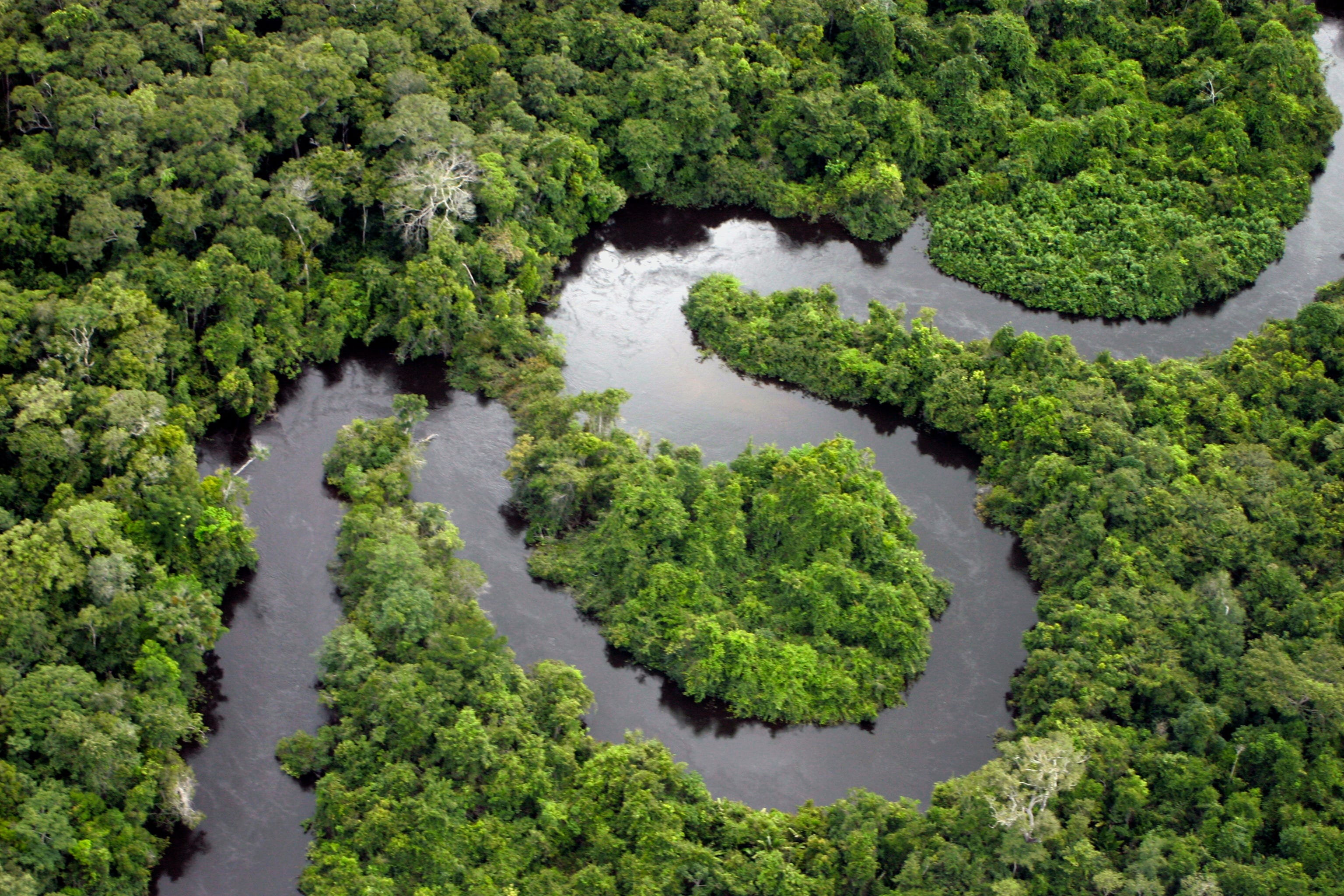 The Amazon Swallowed A Colony Centuries Ago. Archaeologists Just Found It.