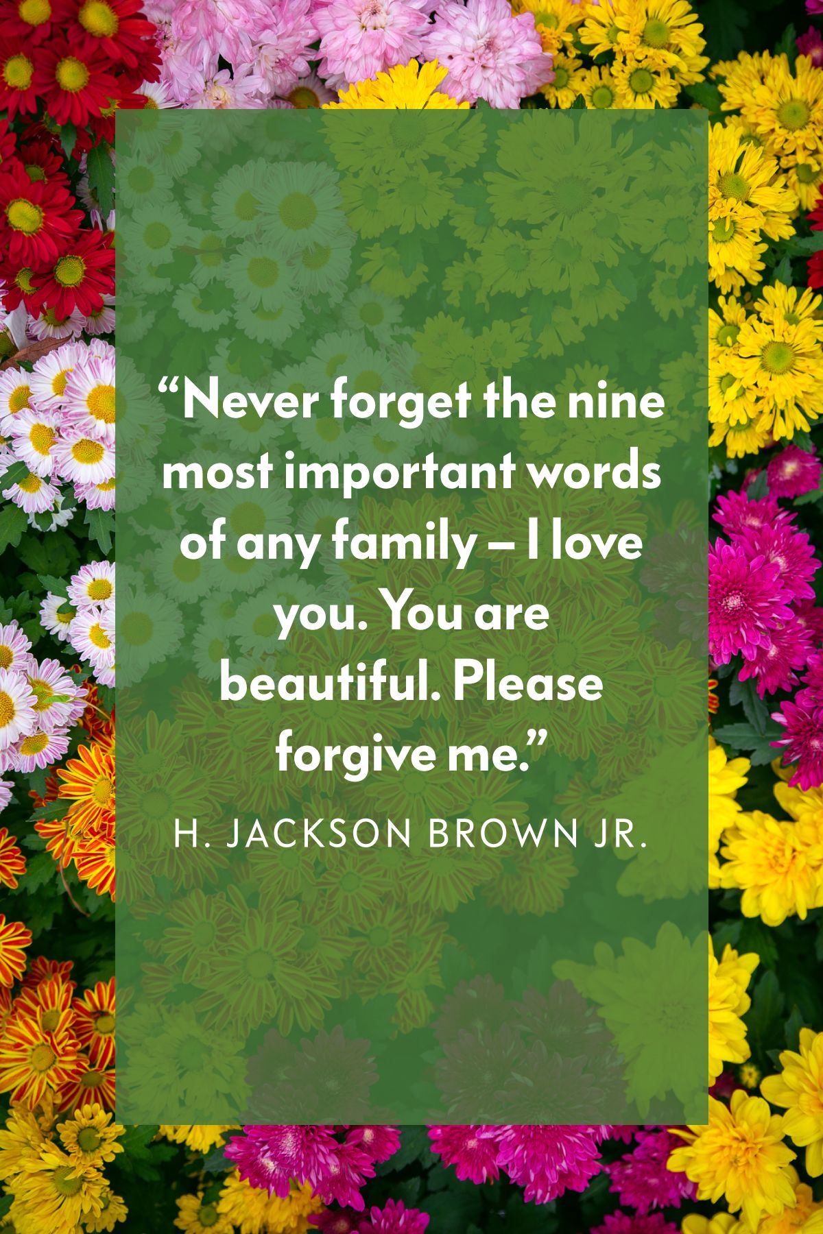 21 Forgiveness Quotes That Will Set You Free