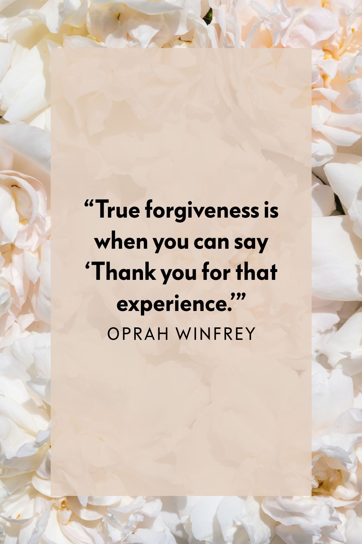 25 Forgiveness Quotes That'll Help You Move On