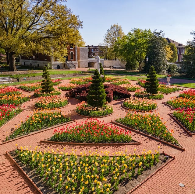 missouri botanical garden