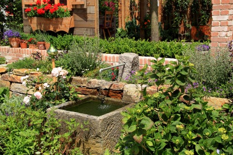 Fountain in the garden