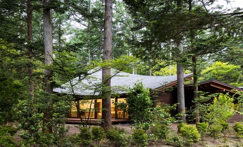 Una Casa En Japon Inspirada En Las Hojas Caidas En El Bosque
