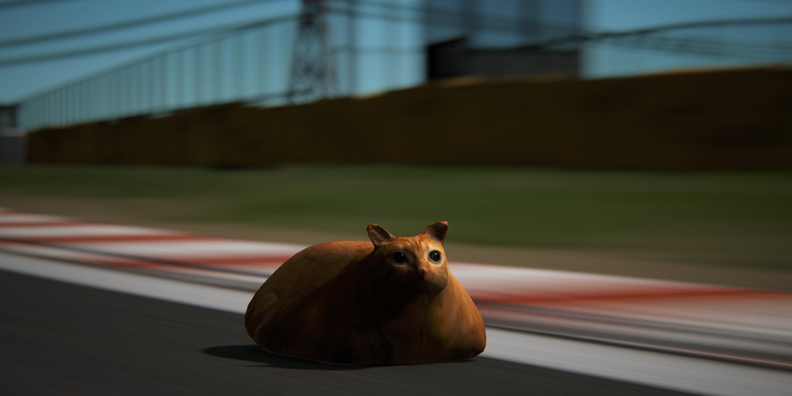 You Can Now Race Cats in Assetto Corsa