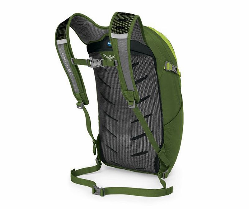 daypack with back ventilation