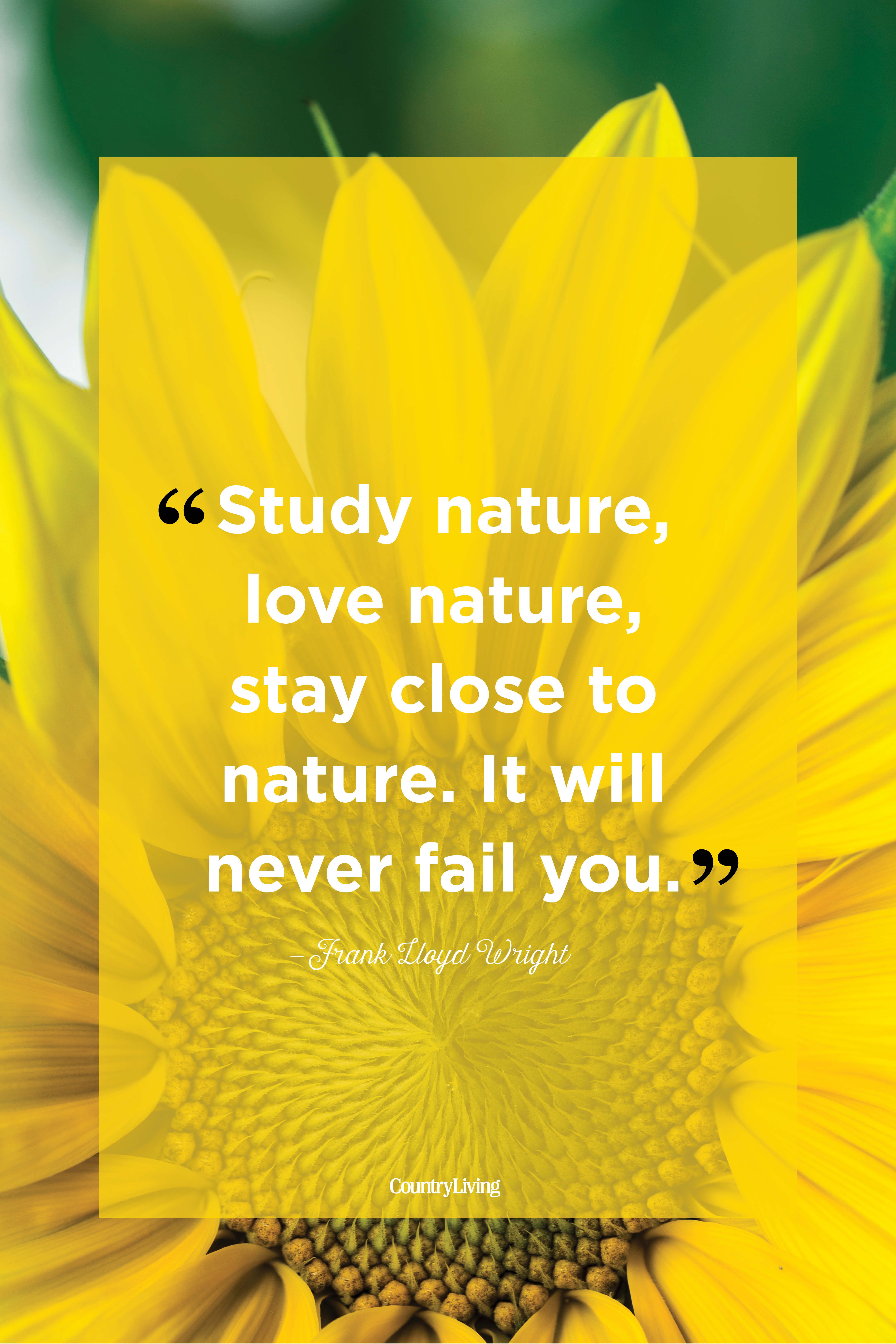 45 Best Nature Quotes Inspirational Sayings About Nature