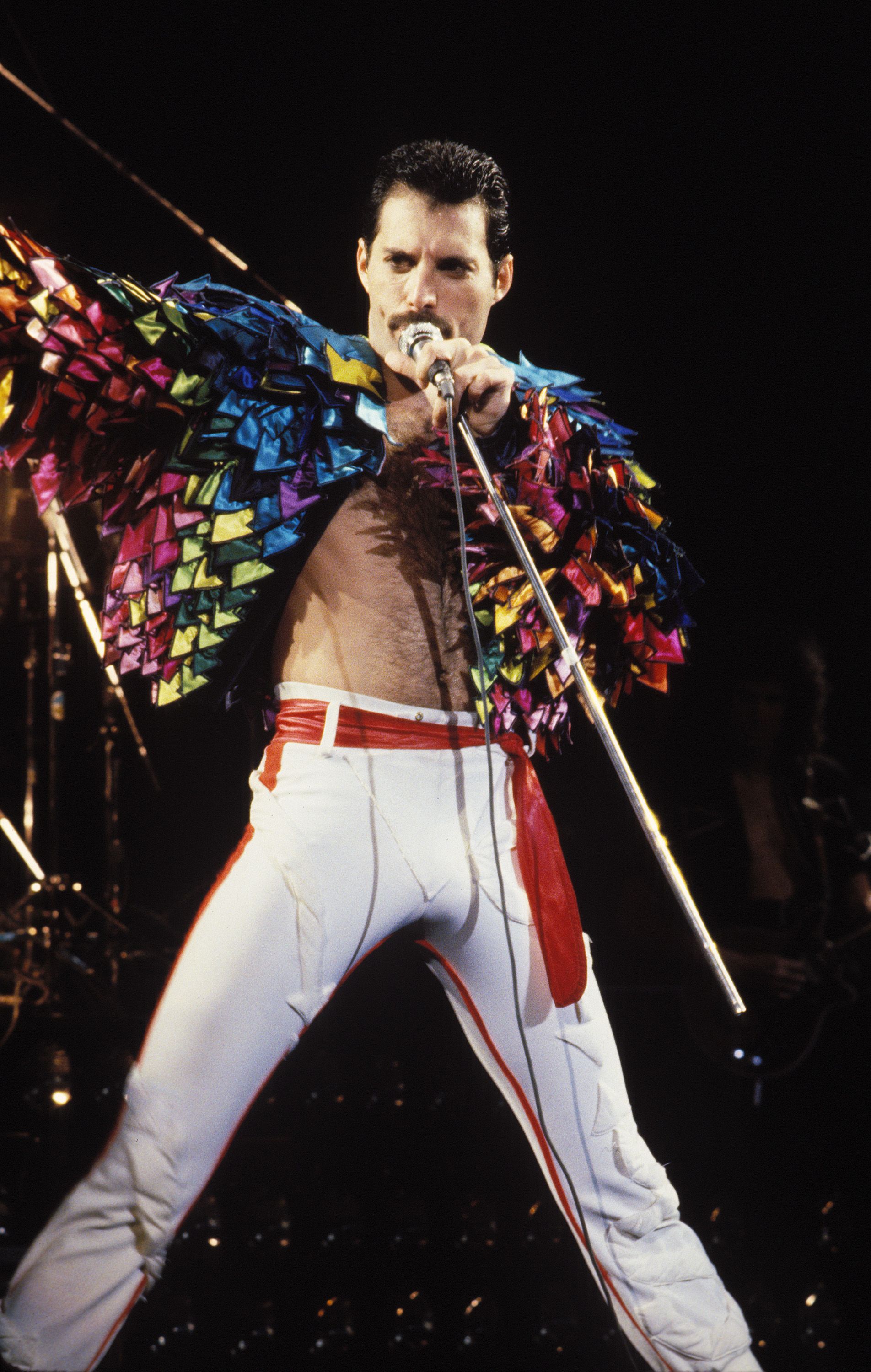 fluctuar alquiler computadora Los 20 looks de Freddie Mercury más icónicos y recordados