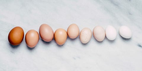 6 Things to Know About Dating While Freezing Your Eggs