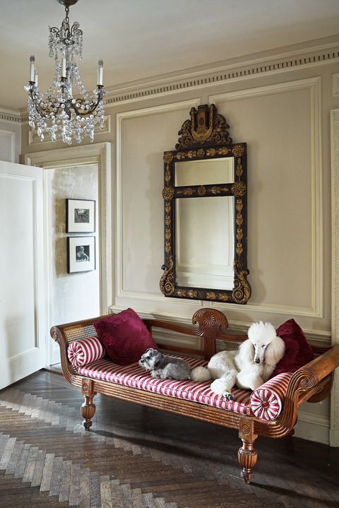 entryway with settee and poodle