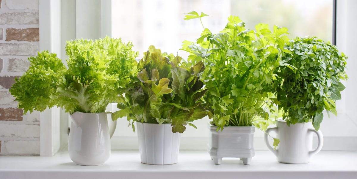 17 Indoor Herb Garden Ideas 2021 - Kitchen Herb Planters ... on {keyword}