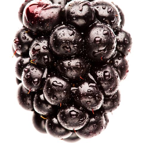 Fresh black berry with water droplets