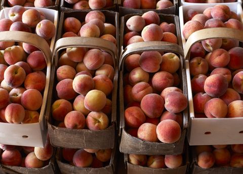 Best Fruit Picking Near NYC - Top 11 Fruit Farms to Visit ...
