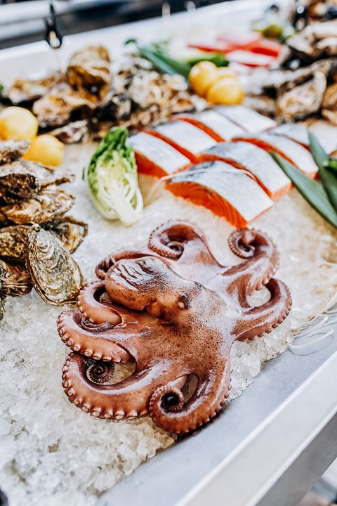 fresh octopus and piece of salmon lies on ice in the fish shop octopus for sale