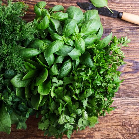 fresh organic aromatic and culinary herbs