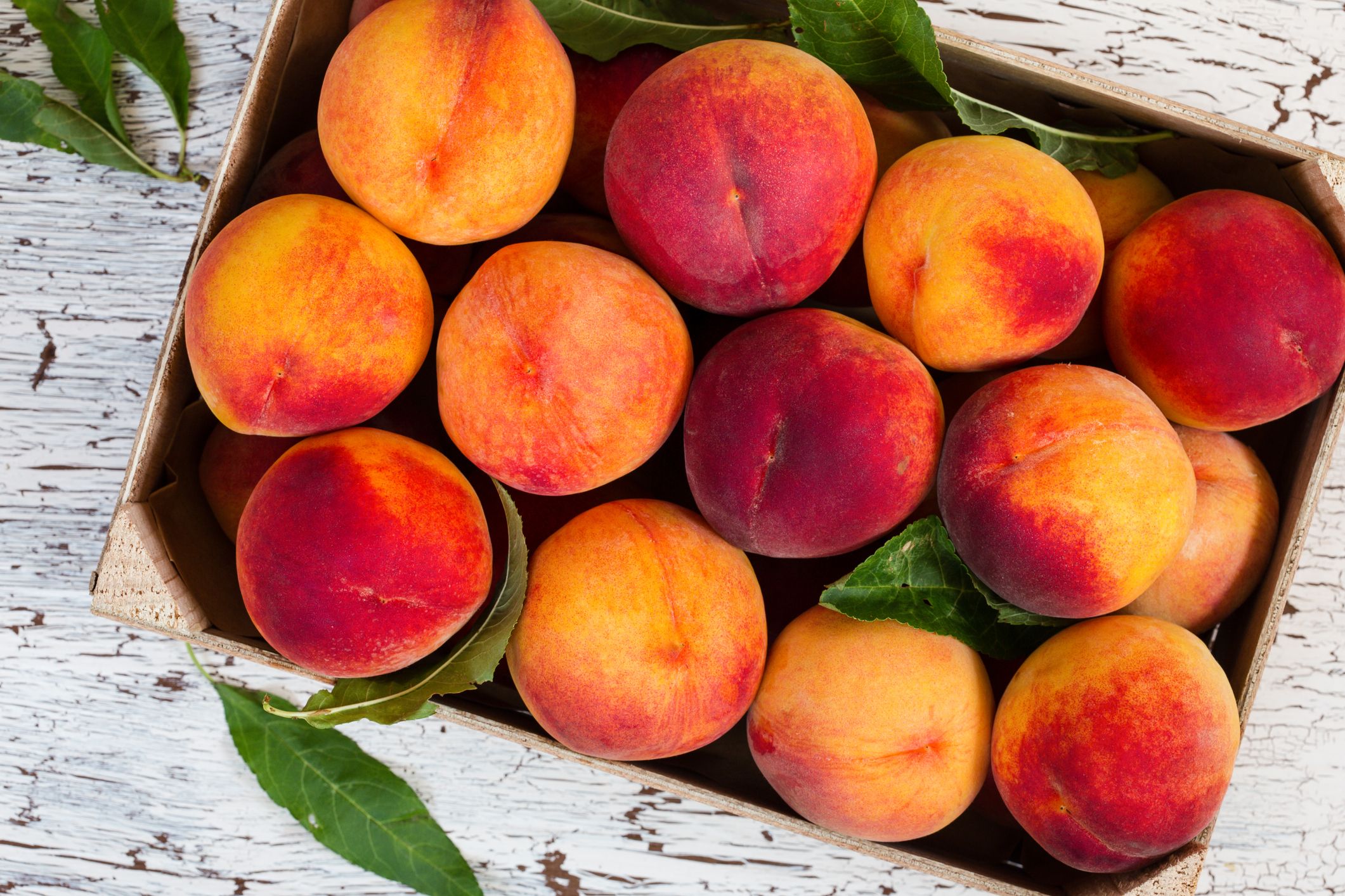 Peach Variety Chart