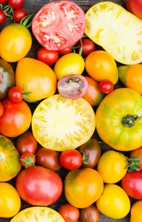 FreshOrganic Tomatoes. Colorful Tomatoes Background.