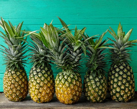 Fresh tropical two-headed pineapple standing in the middle of a row of pineapples, on a rustic wooden table against a background of turquoise wooden walls.