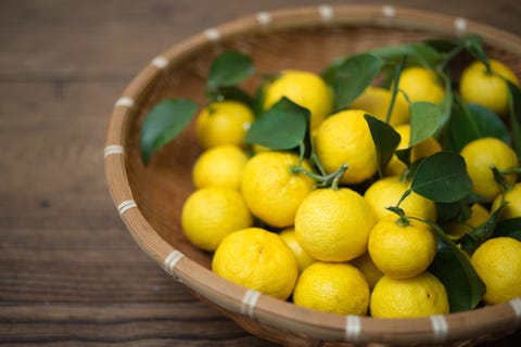 Freshly harvested organic Yuzu (Japanese citrus)