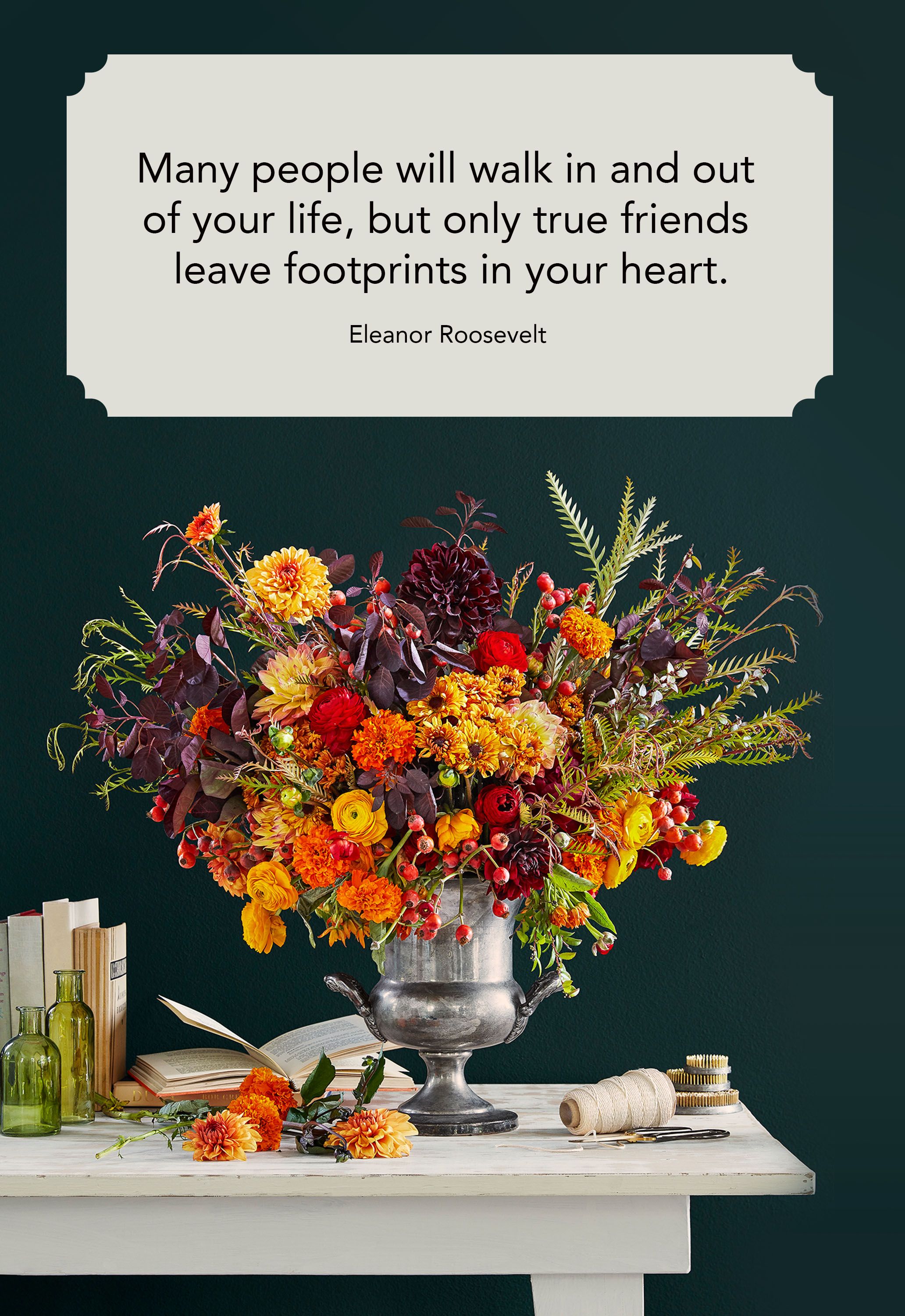 37+ Pic Of Friendship Quotes Pics