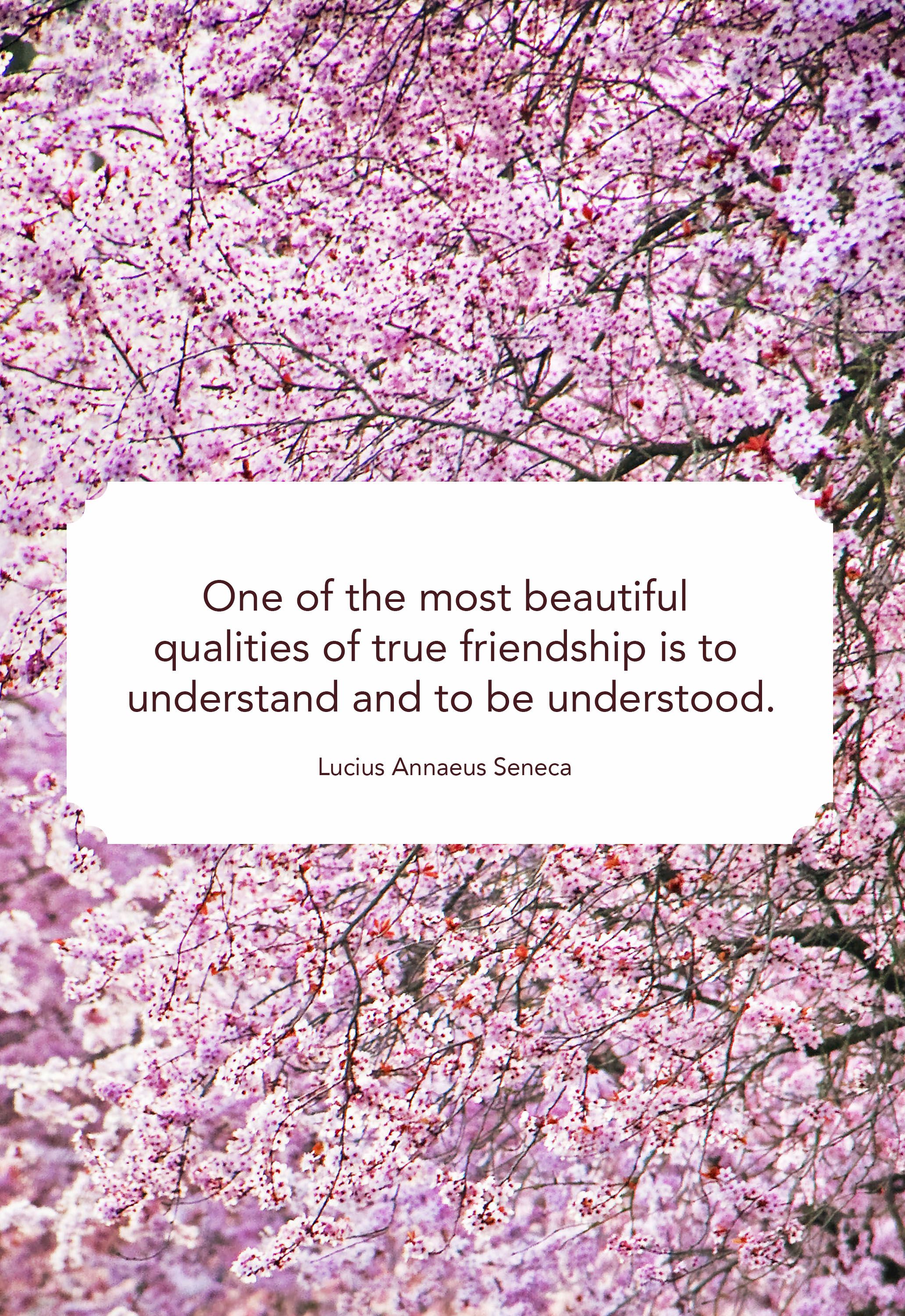pictures of beautiful friendship message