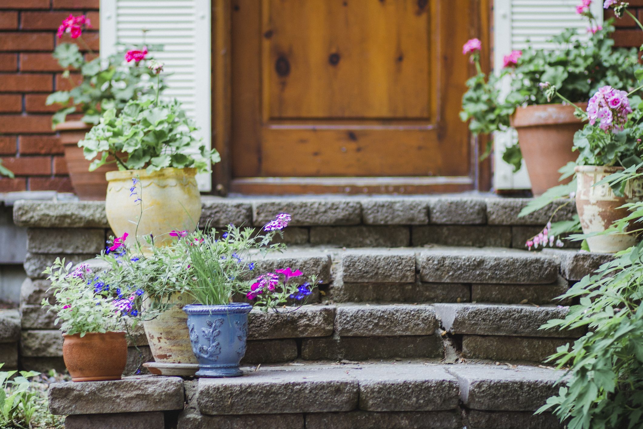  Best Front Door Plants Plants For Your Front Door - Front Of House Plant Ideas Uk