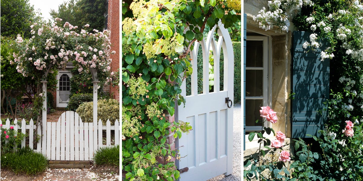 9 Front Garden Design Tips To Make Your Entrance More Welcoming