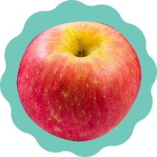 apple illustration