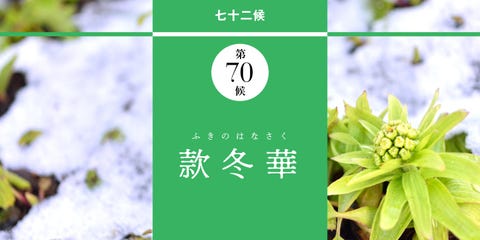 和の暦 大寒 ふきのはなさく 睦月1月日 今日から大寒です