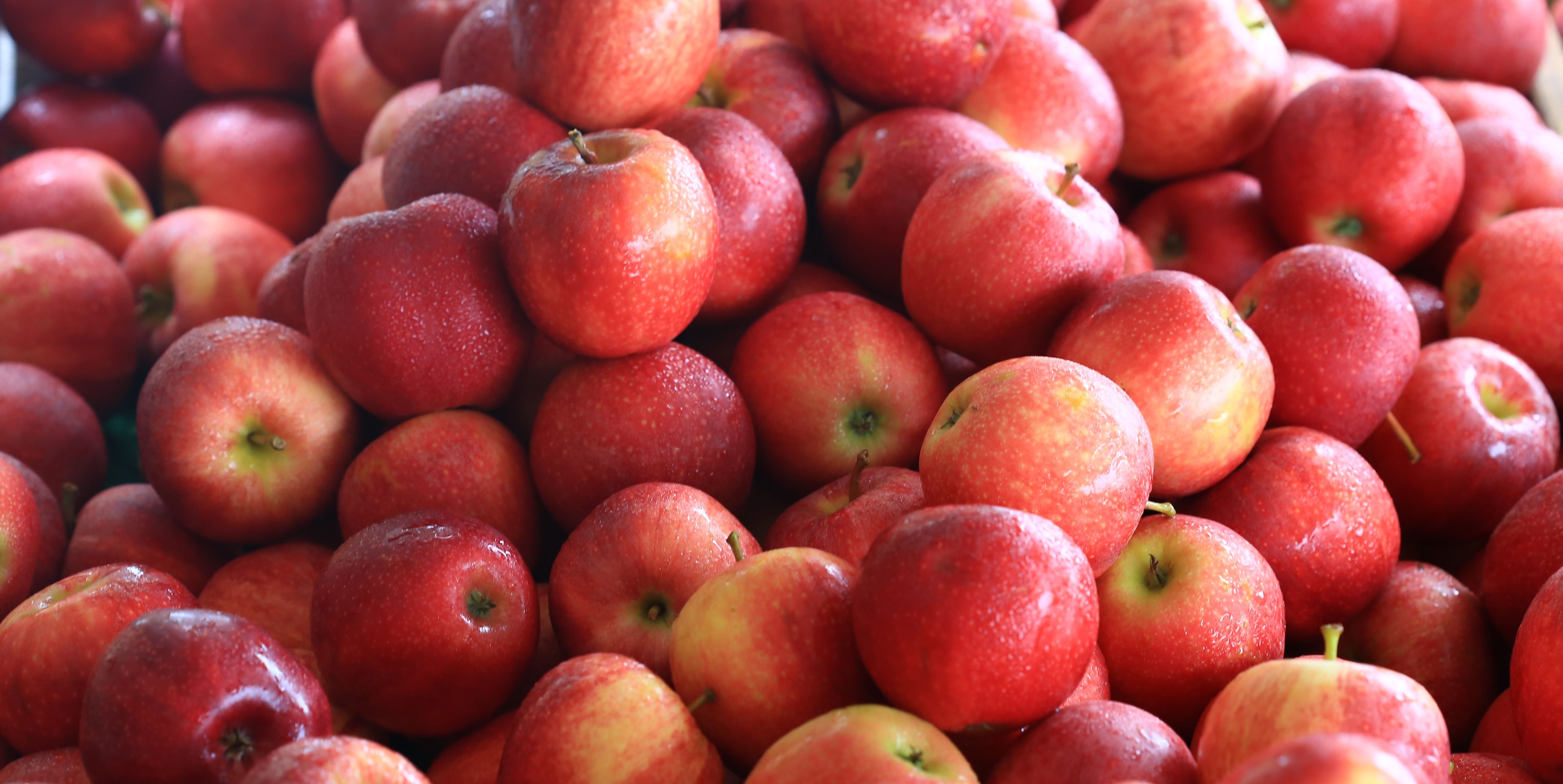More Than 2,000 Cases Of Apples Recalled