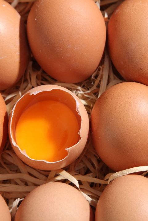 Are Eggs Healthy for You? - The Health Benefits of Eggs