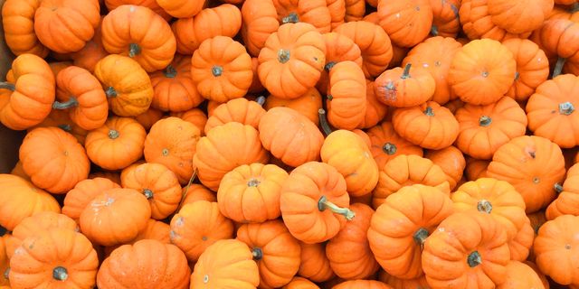Benefits of Pumpkin | How to Fuel With Pumpkin