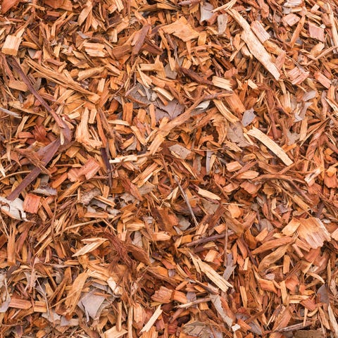 How to Use Mulches to control Weeds on your Garden