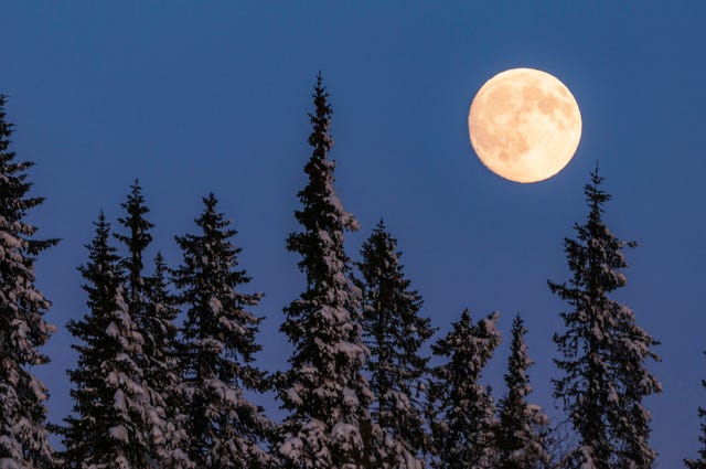 You Won’t Want To Miss The Full Snow Moon Happening This Wednesday Night