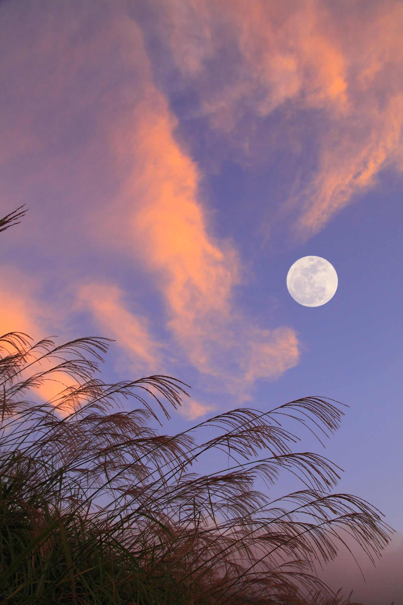 満月いつ 21年9月の満月は 中秋の名月 観測できる時間や方角は
