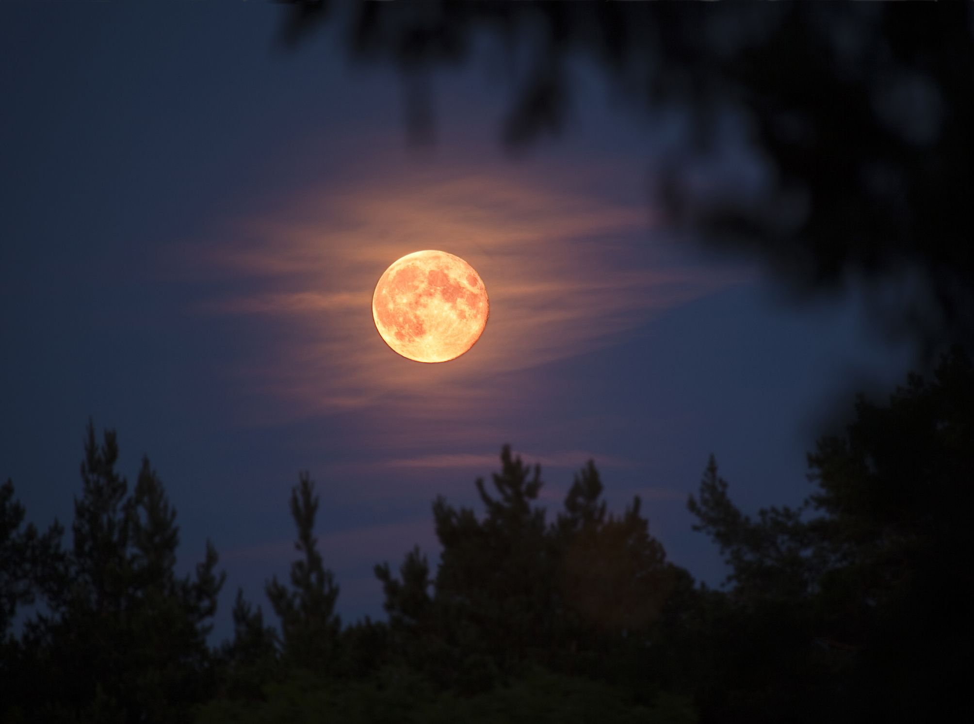 April S Super Pink Moon When To See The Biggest Supermoon Of 2021
