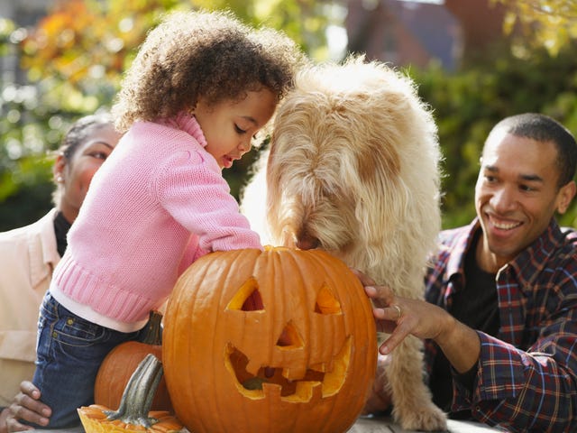 20 Fun Halloween Activities Best Things To Do On Halloween